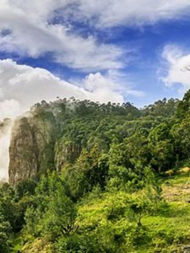 Kodaikanal