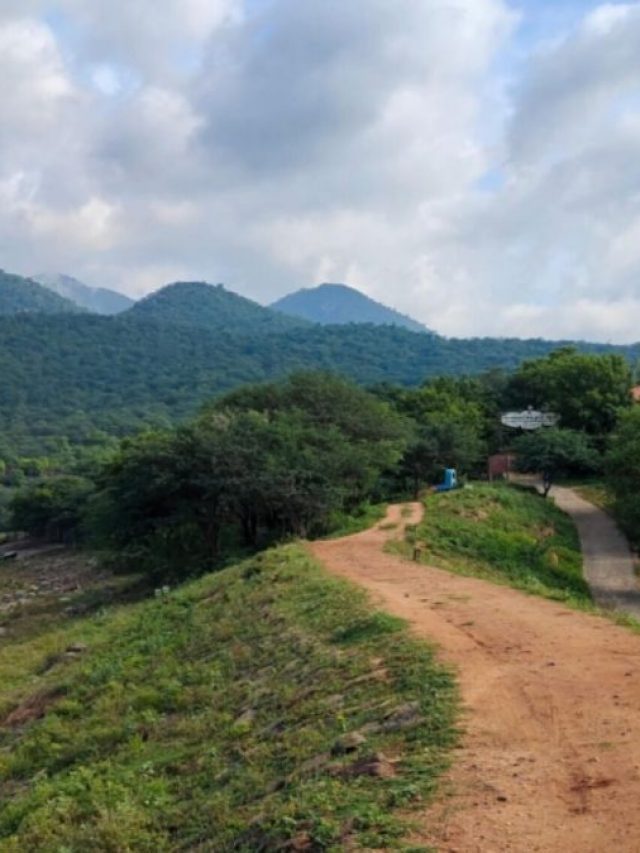 Karnataka Monsoon Guide: 7 Things To Do In The State During Monsoons