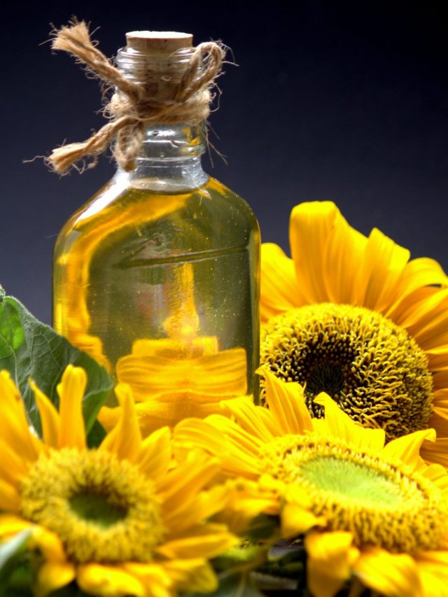 9-healthy-alternatives-to-vegetable-oil-you-can-use