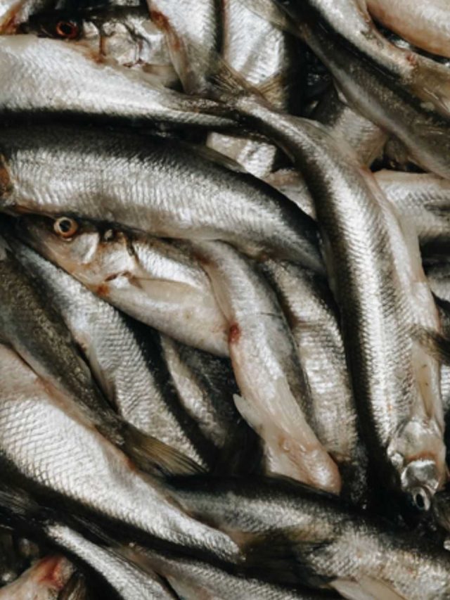 9 Benefits Of Mandeli (Anchovies)