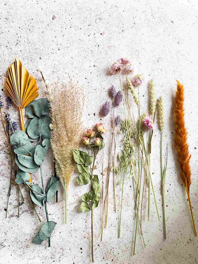 herbs for anxiety