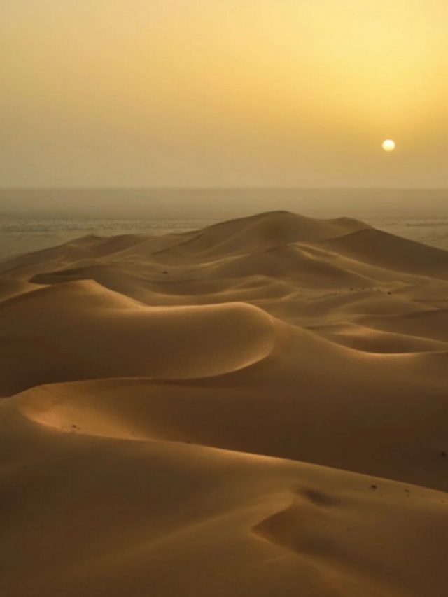 desert safari