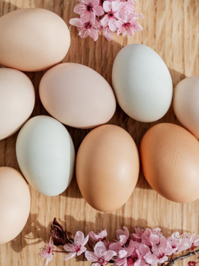 eggs