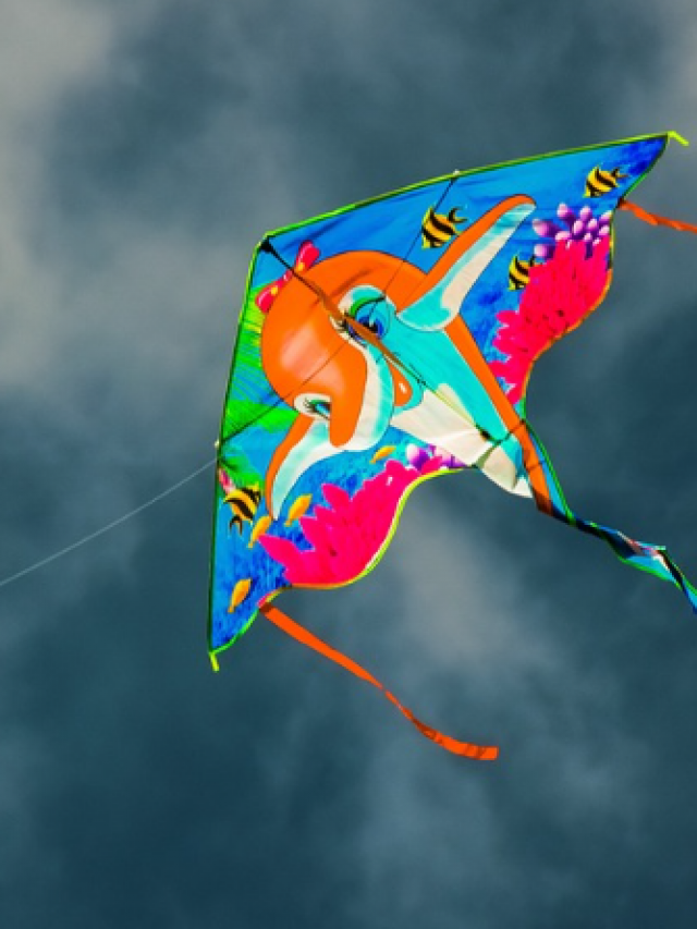 makar sankranti