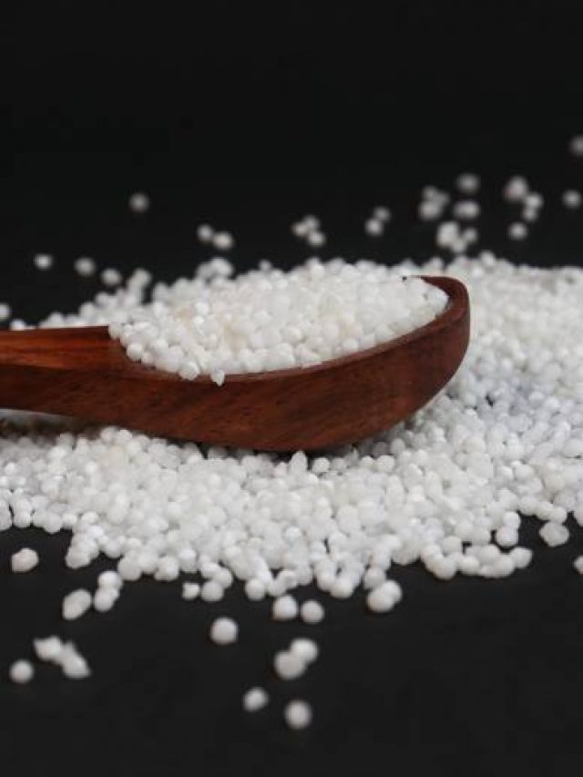 sabudana