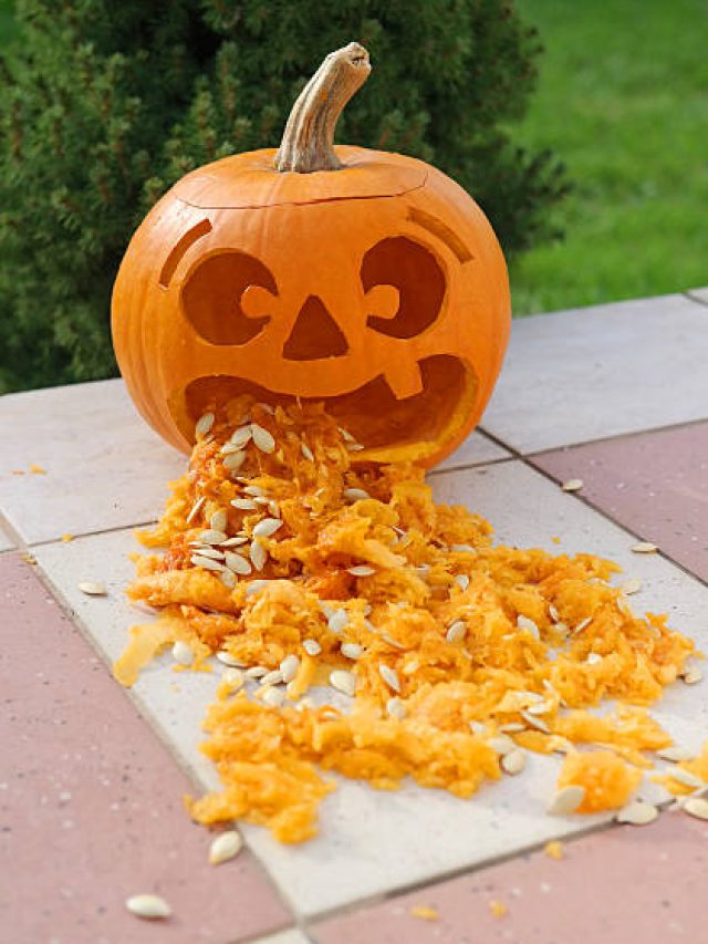 9 Food Items That Help With Nausea