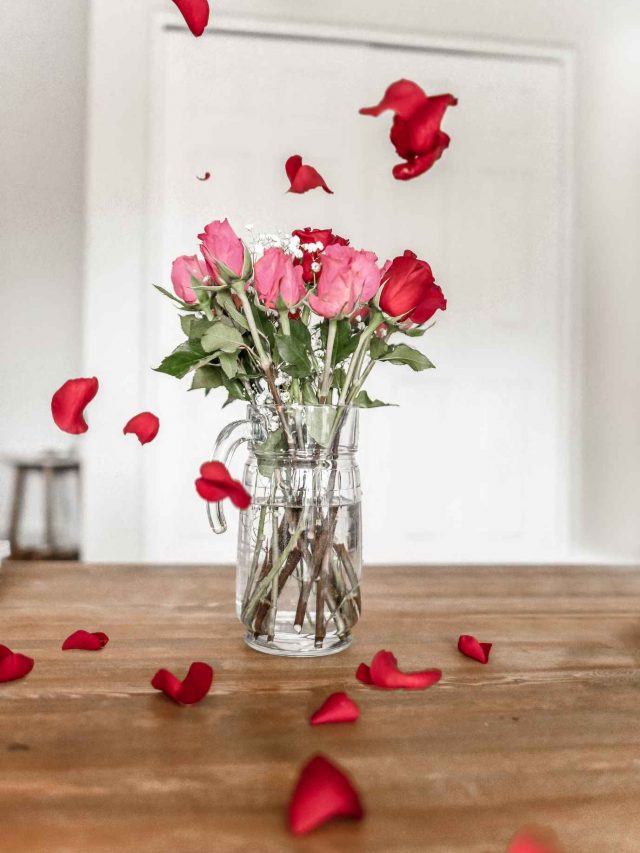 Valentine's day