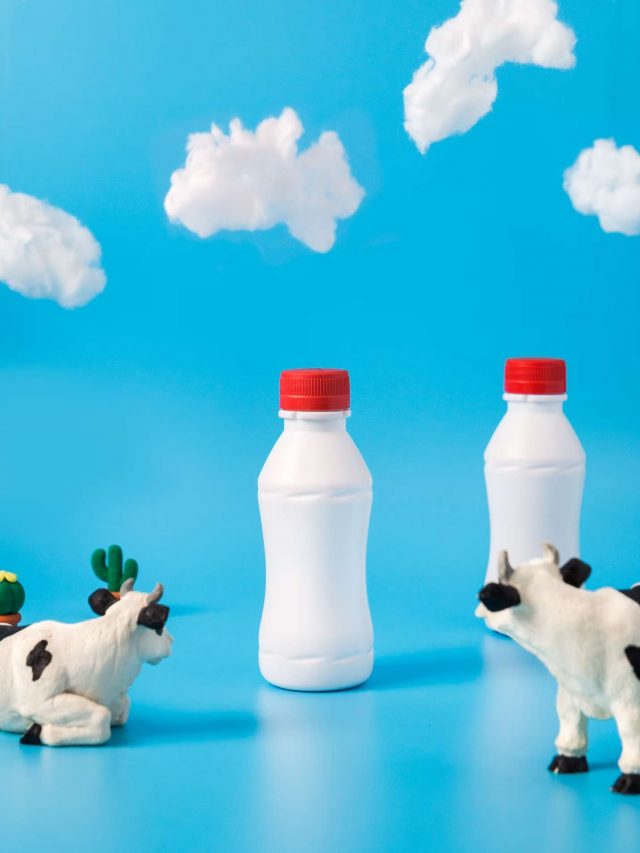 non-dairy milk