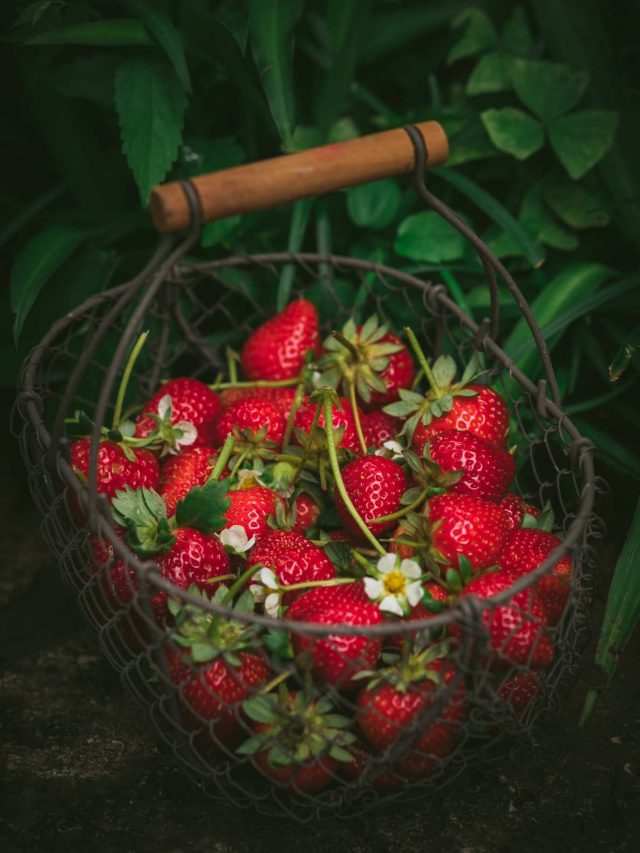 strawberries