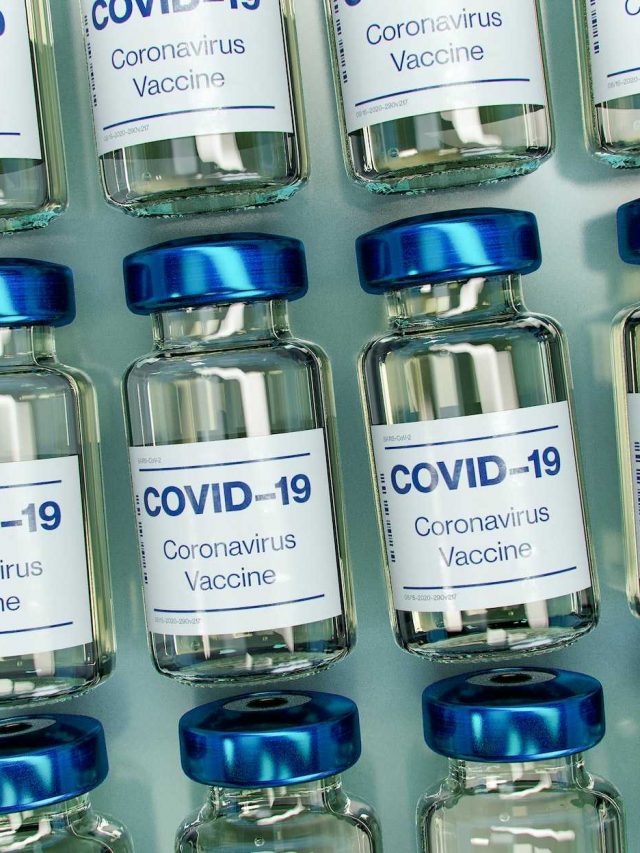 cdc vaccines for travel to india