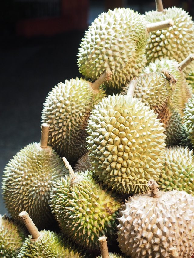 What Is Durian? Here Are Its Benefits