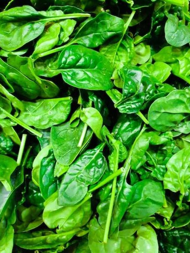 10 Side-Effects Of Overeating Spinach