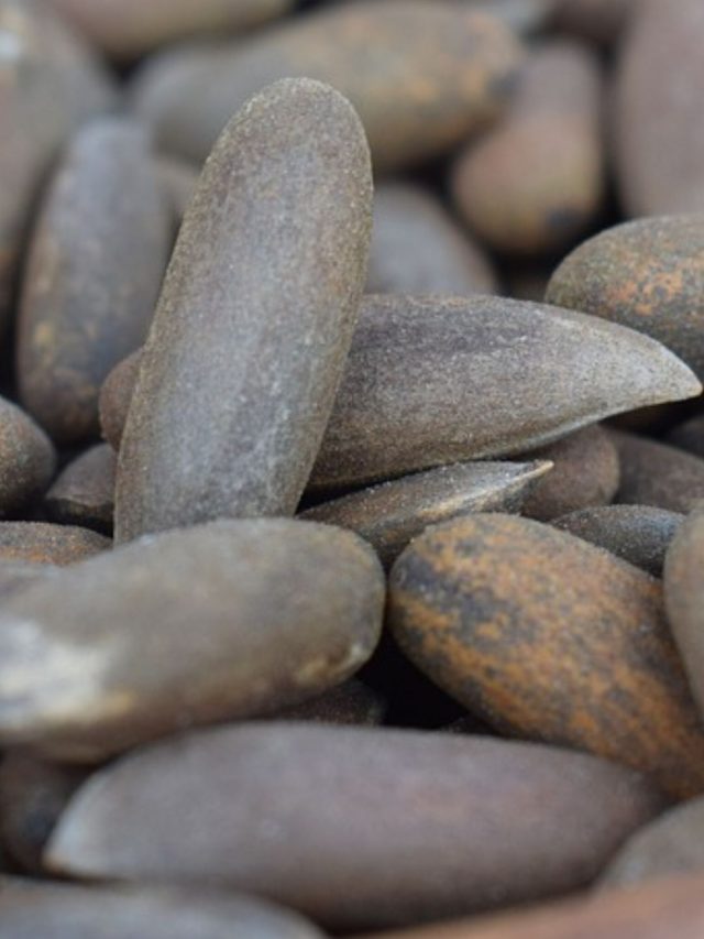 pine nuts