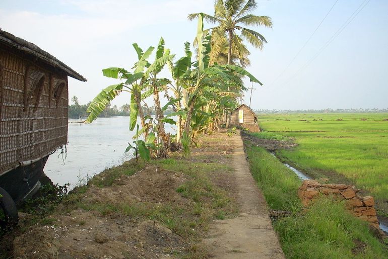 kerala village