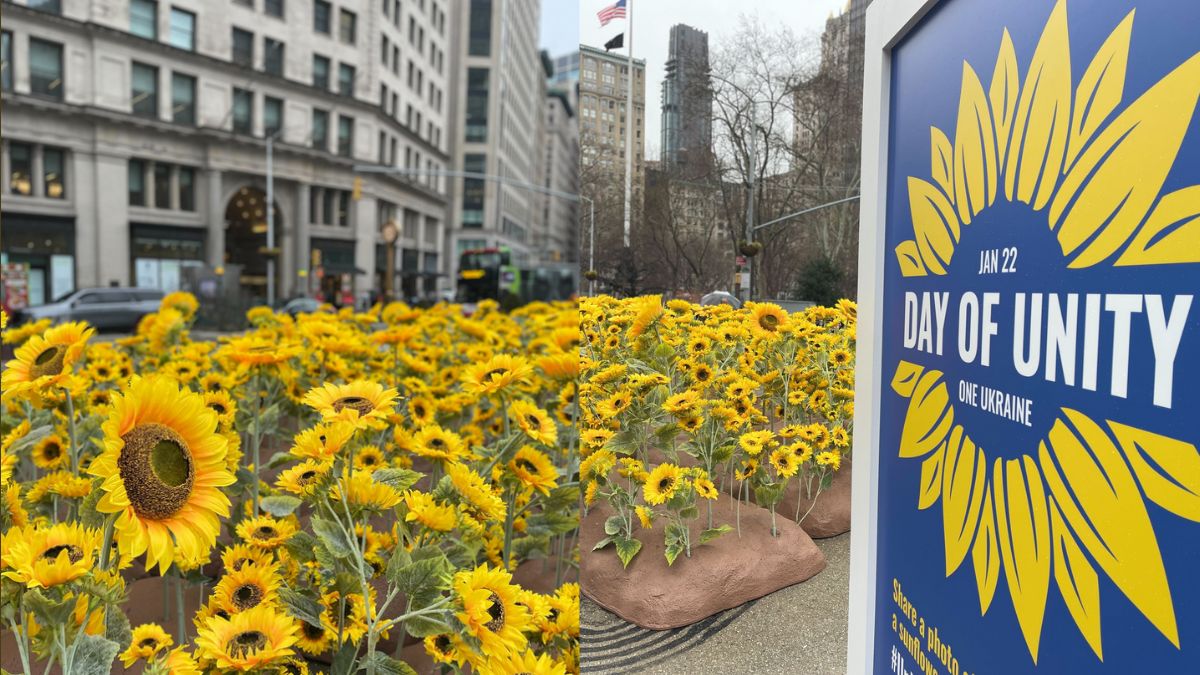 A Bed Of 333 Sunflowers Adorn NYC’s Flatiron Plaza In Honour Of Ukraine’s Day Of Unity