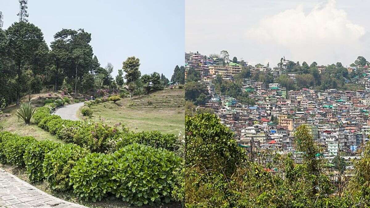 10 Things To Do In Kalimpong, The Pristine Hamlet That Invokes Surrealism In You!