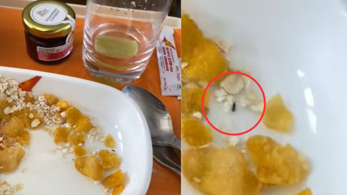 Watch Video: Passenger Finds An Insect In Air India Business Class In-Flight Meal