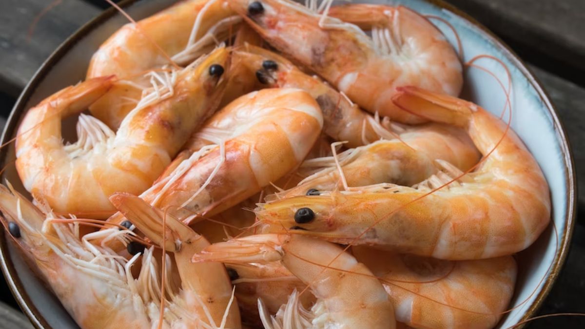 Shrimp Farmers Benefit In Budget 2023; FM Launches Rs 6000 Cr PM Matysa Sampada Yojana