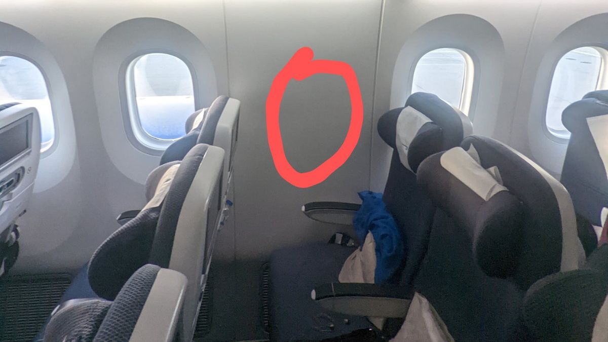 Man Pays Extra For Window Seat But What He Gets Is Total Disappointment. Alas!
