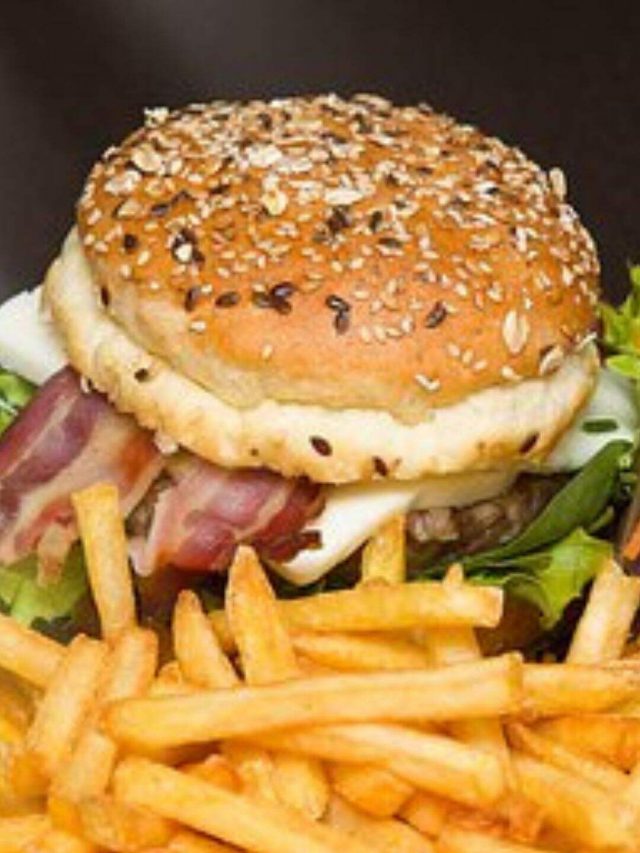 Burger (9) (1)
