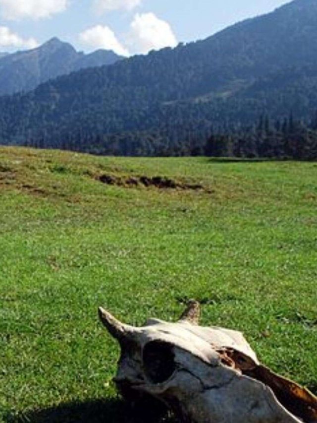Chopta