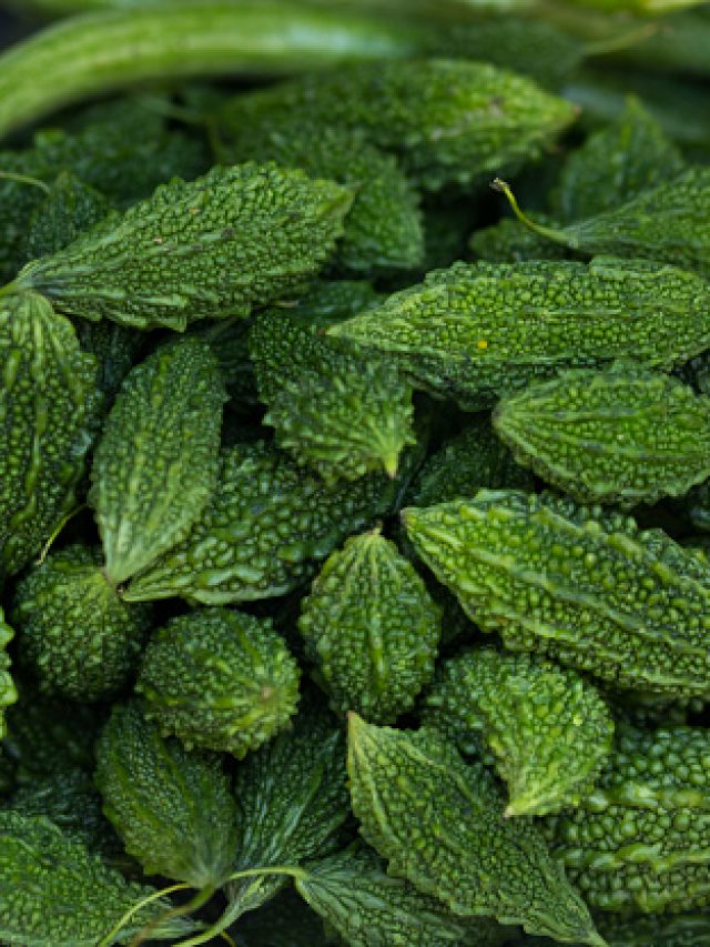 10 SideEffects Of Overeating Bitter Gourd