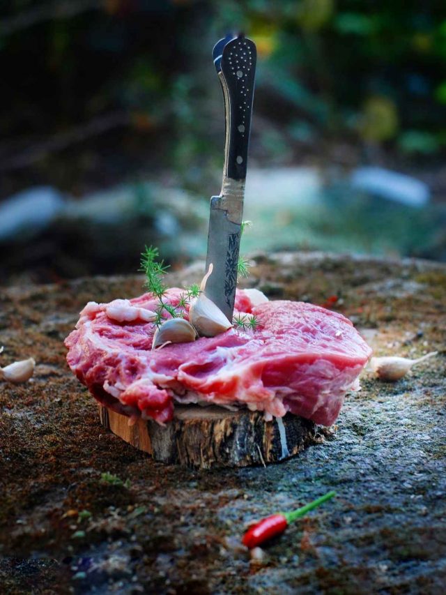 raw meat dishes