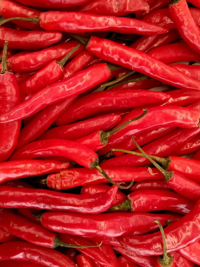 10 Types Of Indian Chillies You Should Know Of