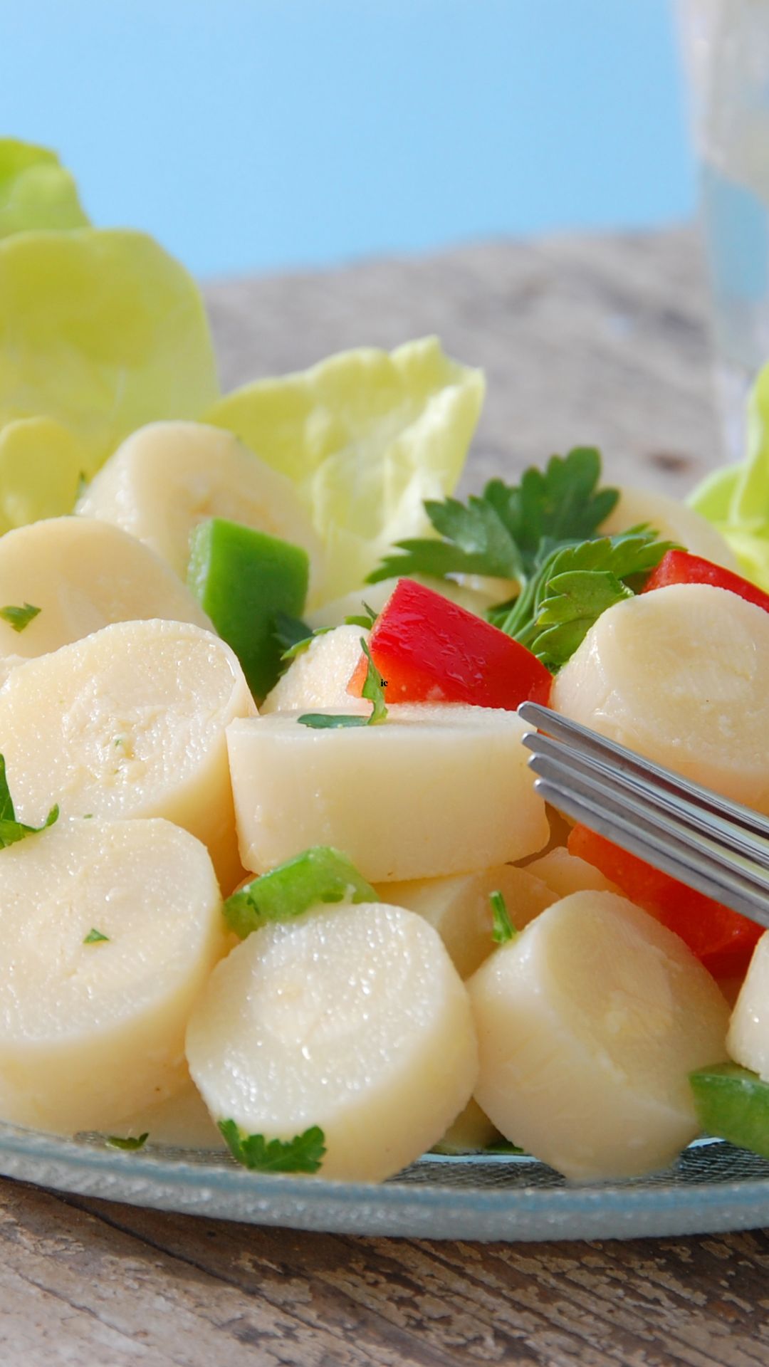 What Are Hearts Of Palm And What Do They Taste Like?, 58 OFF