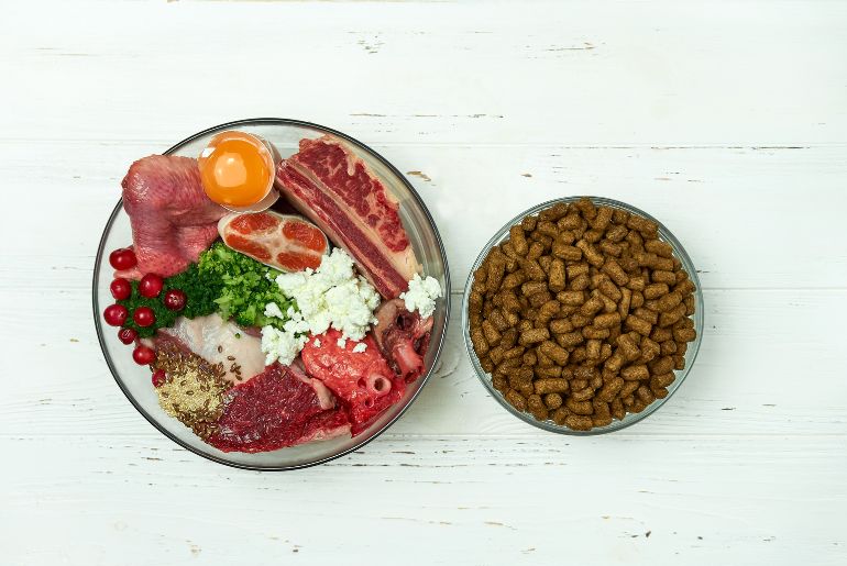 dog food as protein supplement