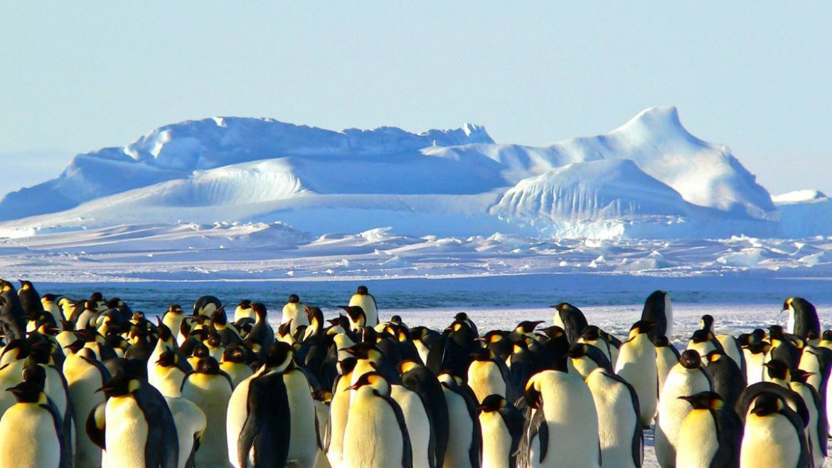French Southern and Antarctic Territories