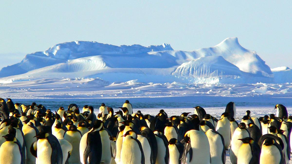 Discover Snowy Magnificence With Islands Of French Southern and Antarctic Territories In The Indian Ocean!