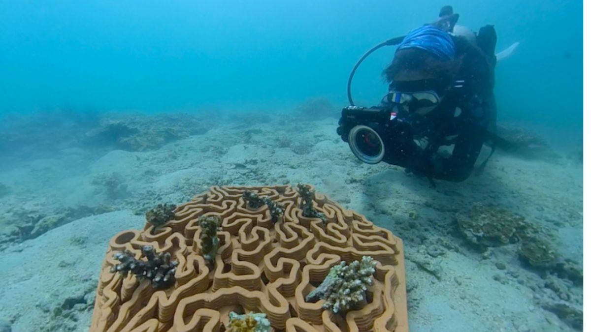Abu Dhabi Coral Reefs To Be Restored Using 3D Printed Terracotta Tiles At Um Khorah Island