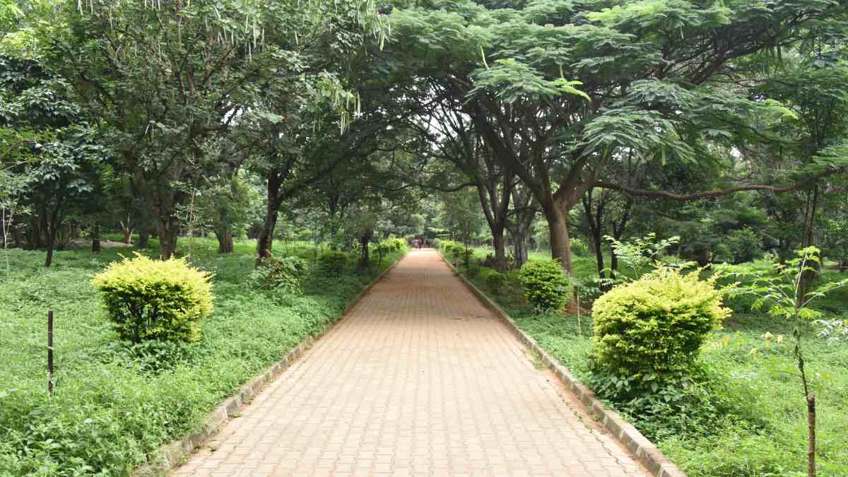bangalore cubbon park