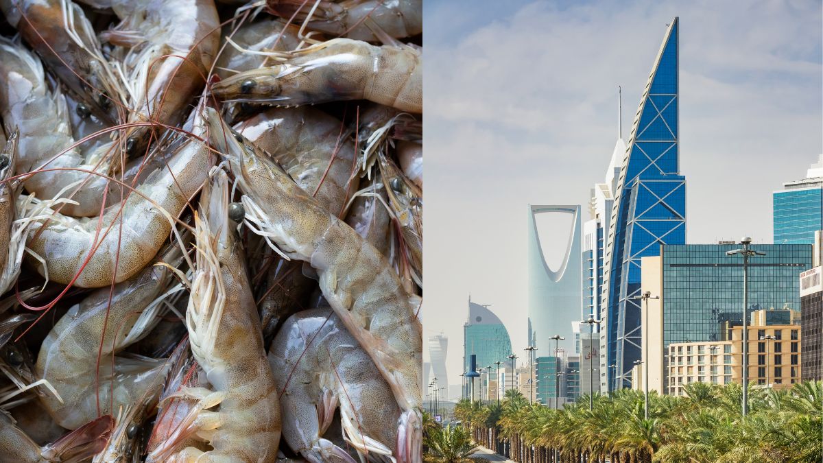 Saudi Bans Shrimps From India: All You Need To Know