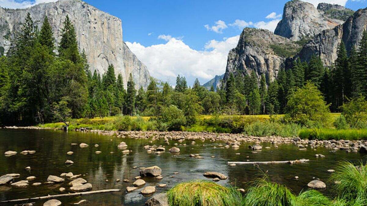 After Being Shut Down For 3 Weeks, USA’s Yosemite National Park Reopens Partially