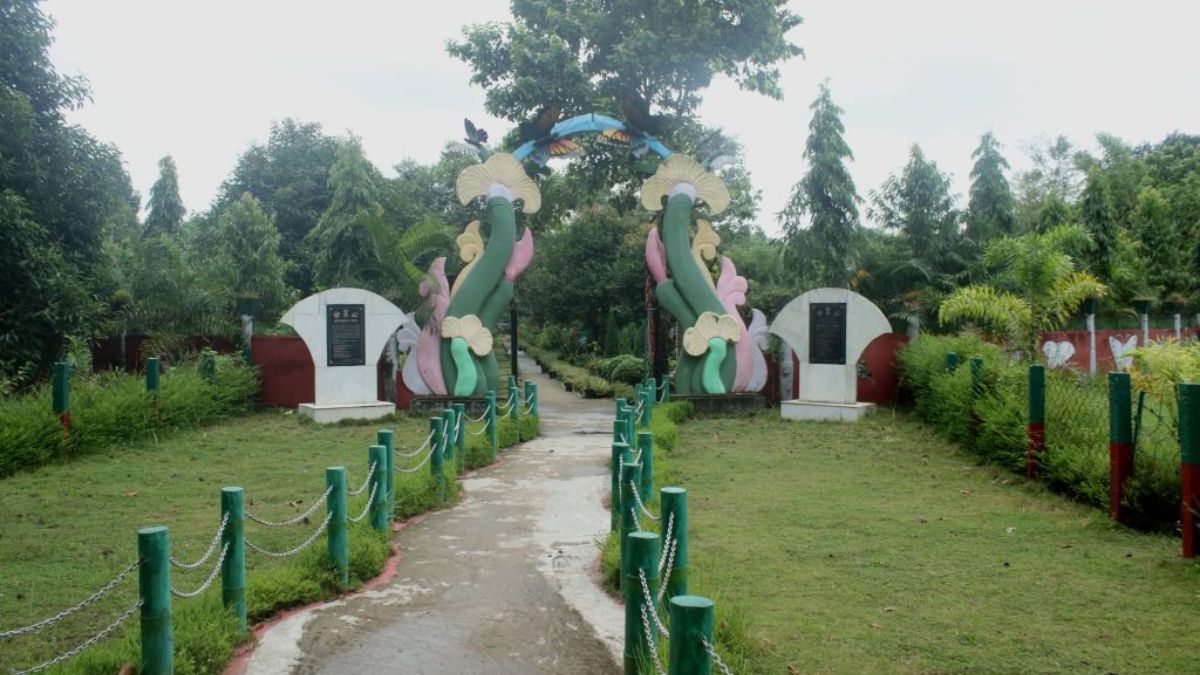 Spread Across 5.5 Hectares Of Land, This Butterfly Park In Tripura Houses 250 Butterfly Species