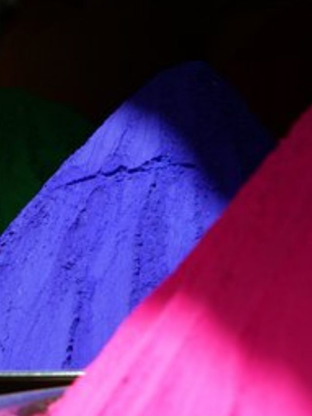 Holi