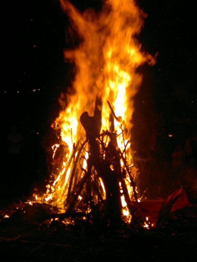 Holika Dahan (2)