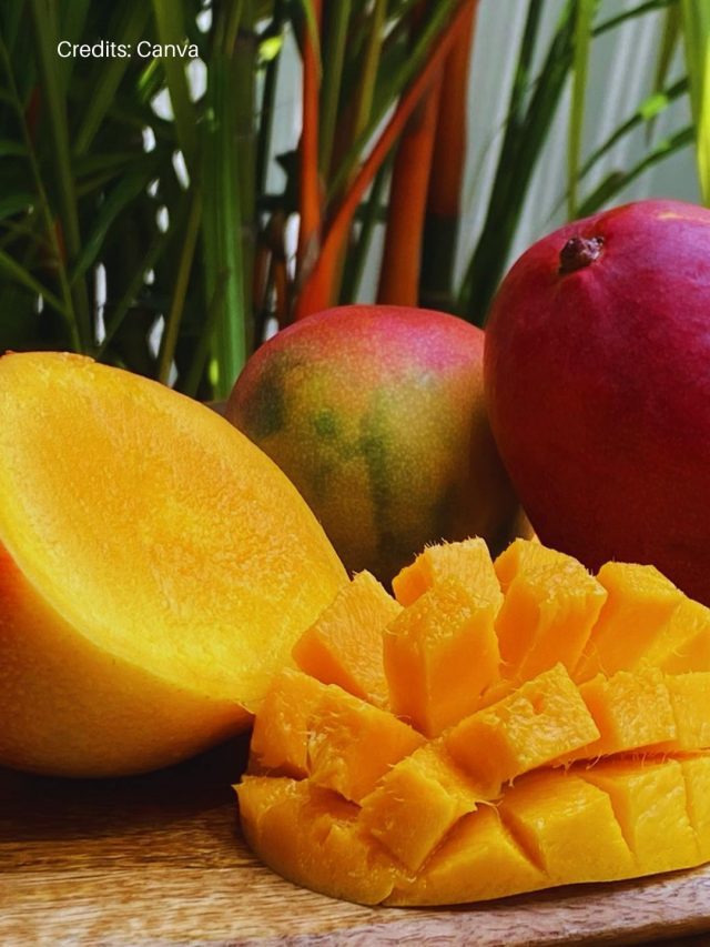 Mango