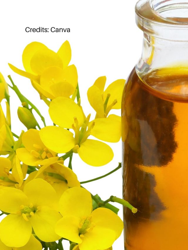 9 Side Effects Of Mustard Oil You Should Know About
