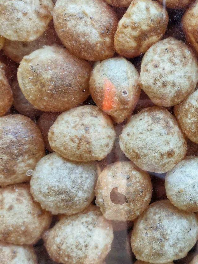 cropped-Phuchka-1-1.jpg