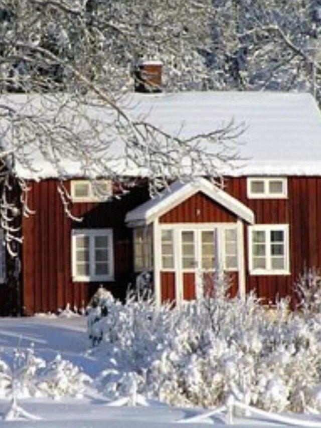 Sweden (6) (1)