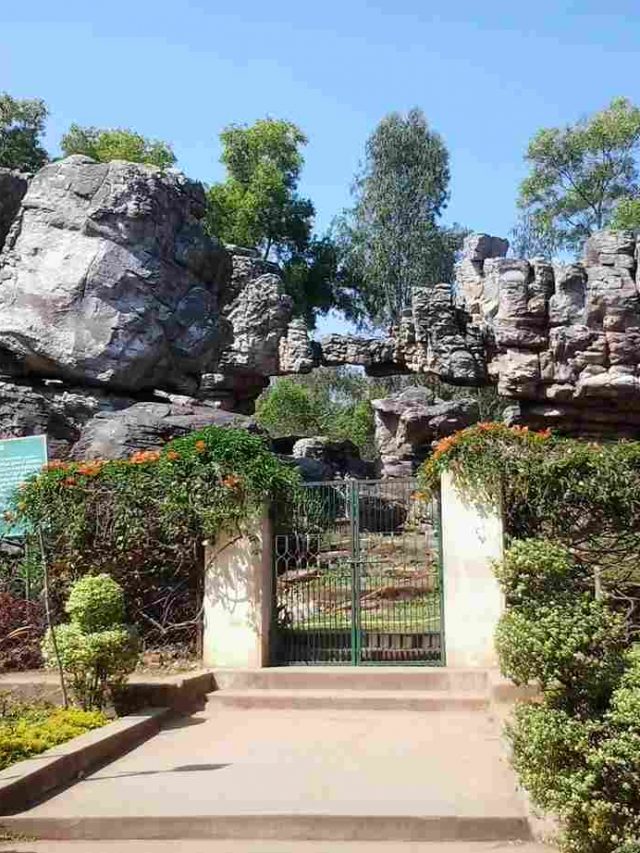 Tirumala,_Tirupati,_Andhra_Pradesh,_India_-_panoramio_(5)_11zon