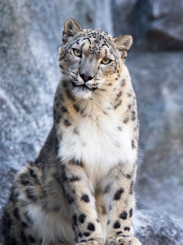 8 Breathtaking Wildlife Parks in Maharashtra You Must Visit