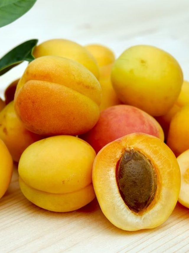 7 Benefits Of Apricots That Will Make You Want To Include Them In Your