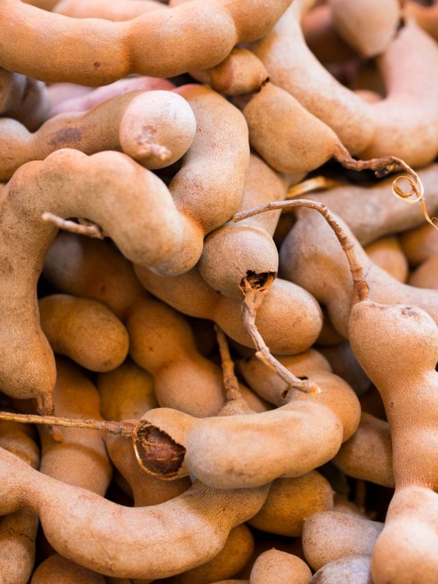 4-health-benefits-4-side-effects-of-tamarind