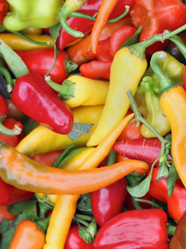 Top 9 Spiciest Chillies In The World