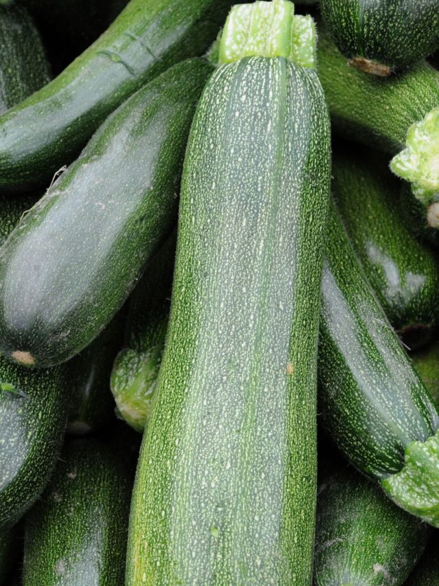 zucchini
