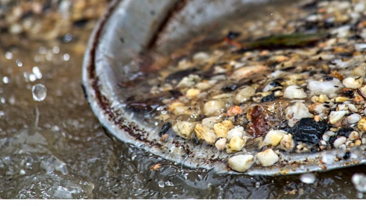 Odisha Villagers Find Gold Particles In Muddy Water Drawn From A